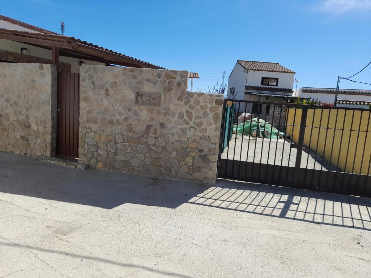 La Vega Apartment Tarifa Luaran gambar